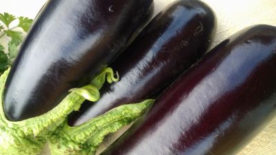 Aubergines