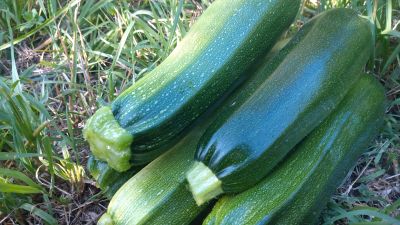 courgettes